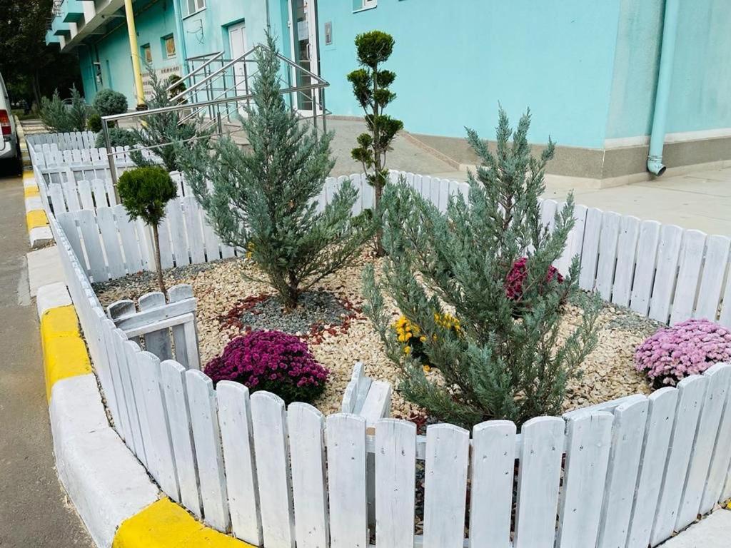 Apartament Summerland Mamaia Nord Екстер'єр фото